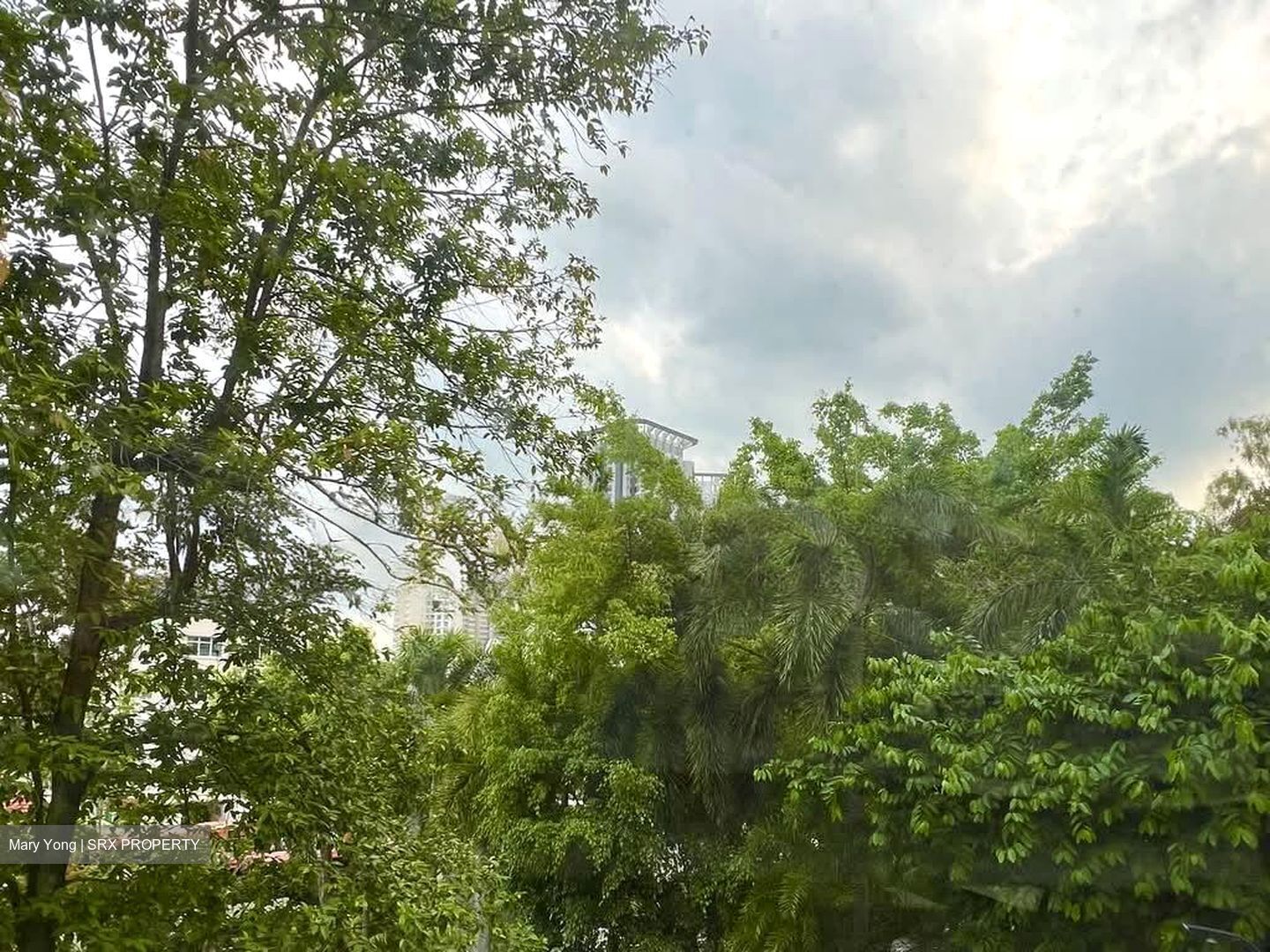 The Baycourt (D16), Condominium #542318681